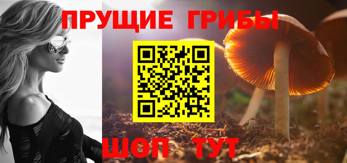 Галлюциногенные грибы GOLDEN TEACHER Владивосток