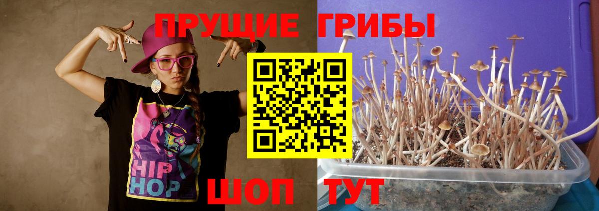 Владивосток  Псилоцибиновые грибы мицелий  Вход с VPN 